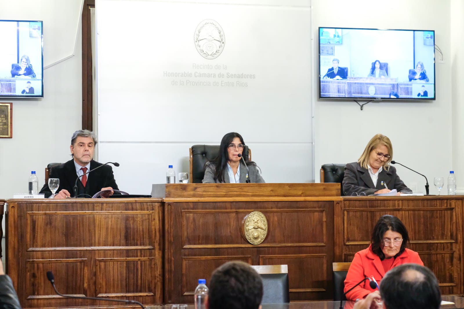 El Senado Entrerriano celebró su Octava Sesión Ordinaria
