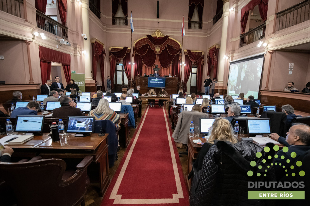 Diputados avanzó con nuevos proyectos y resoluciones en sesión ordinaria